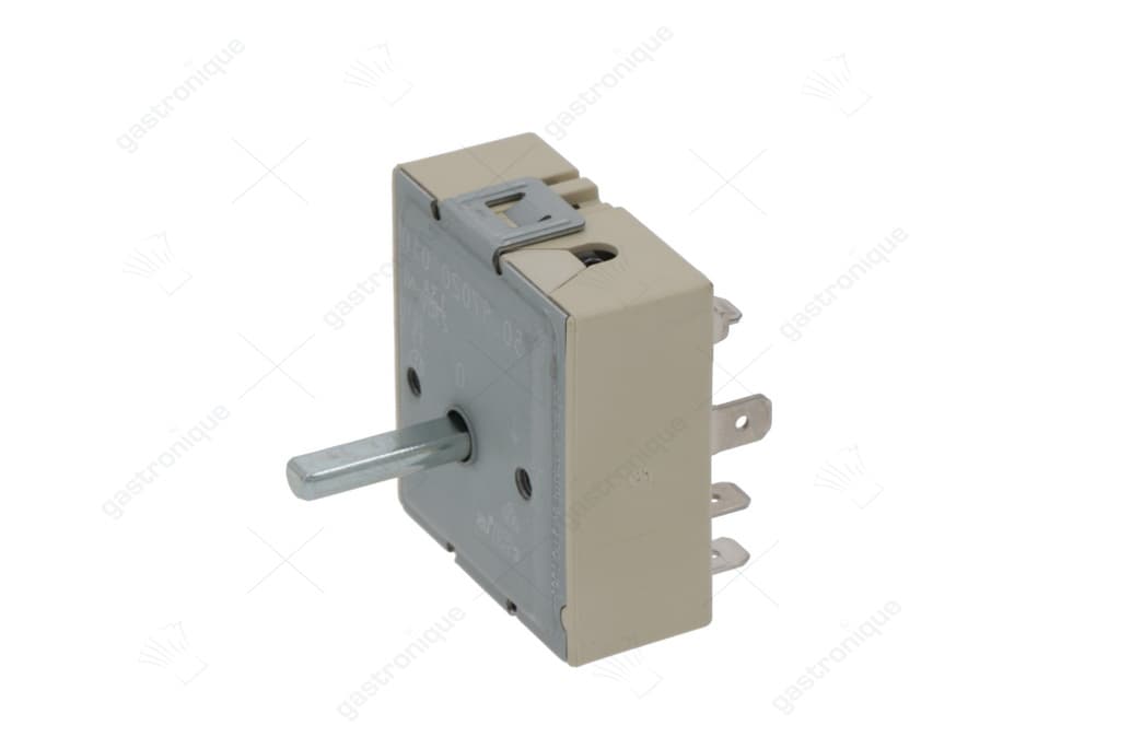 energy regulator