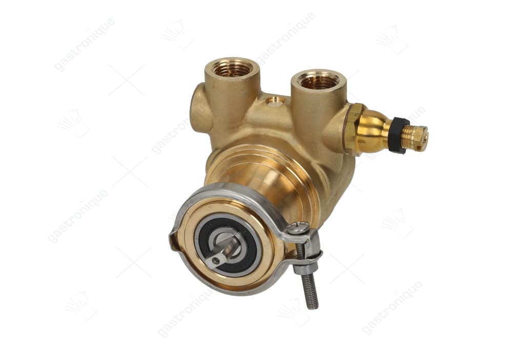 volumetric pump rotoflow ø 3/8" gas