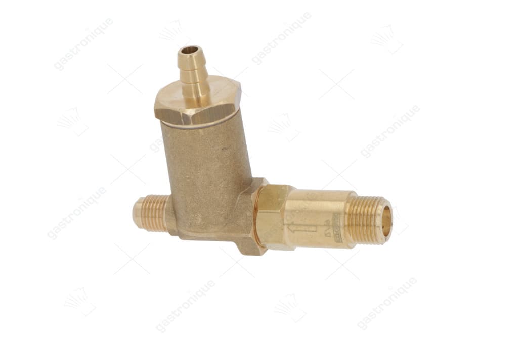 expansion and non-return valves assembly