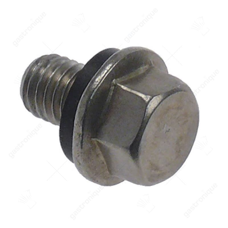 veiligheidsschroef draad M8x1,25 L 20mm draad L 12mm kop ø 17mm SB 12 A2 met pakking