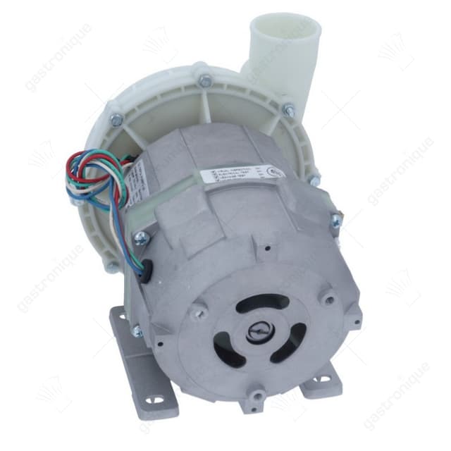 pomp ingang ø 60 uitgang ø 48 type L80.T120 230V 50Hz fasen 1 0,9kW L 260mm OLYMPIA - Thumbnail 3