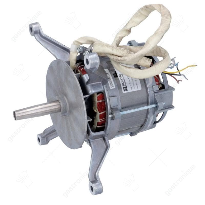 MOTOR HANNING L7AW4D-0990, 245 kW 230/415V 50/60Hz 1400/1700U/min aslengte 72 mm as ø 17 mm - gewicht