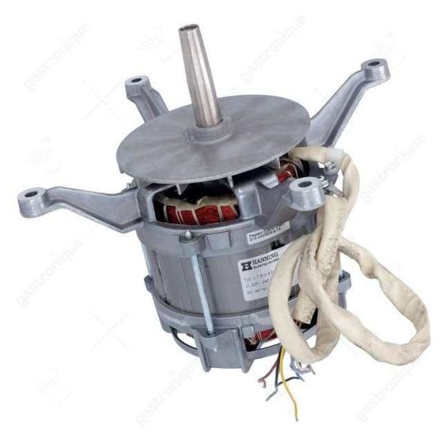 MOTOR HANNING L7AW4D-0990, 245 kW 230/415V 50/60Hz 1400/1700U/min aslengte 72 mm as ø 17 mm - gewicht - Thumbnail 2
