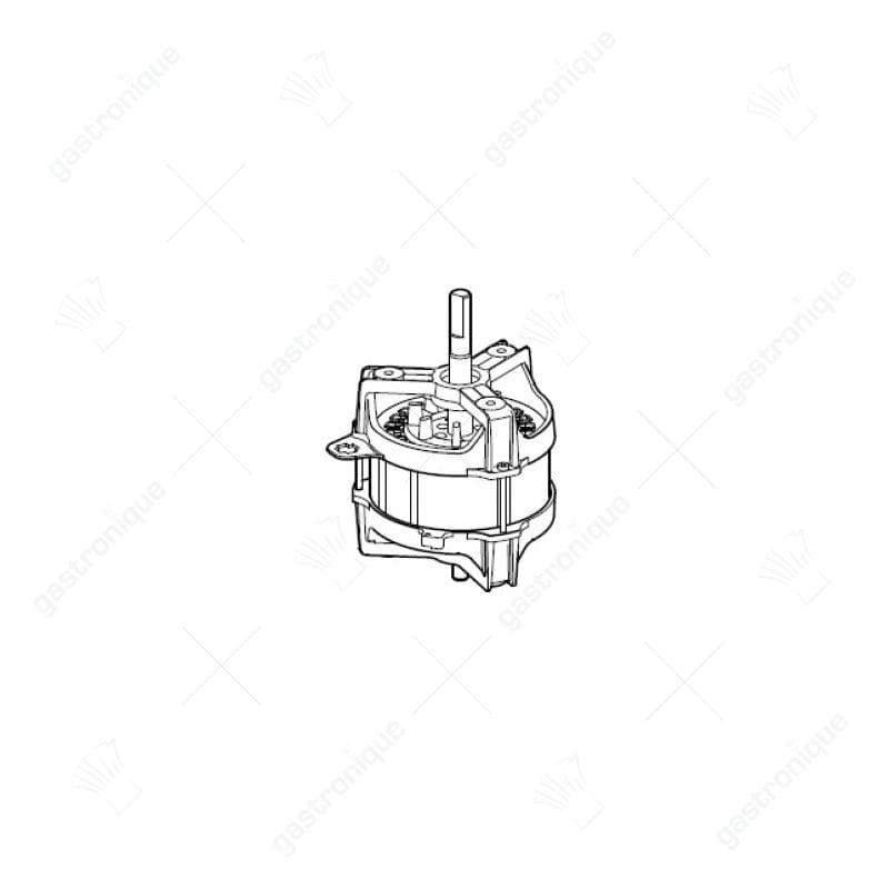 MOTOR H50 230/50 BLX2