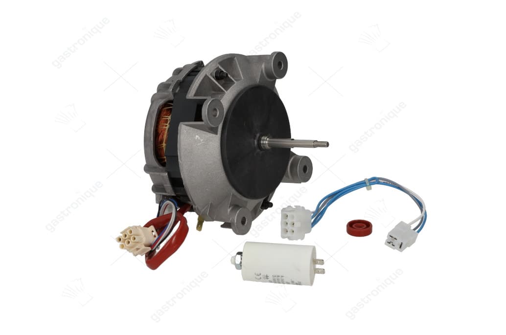 motor sisme k48210-m02288