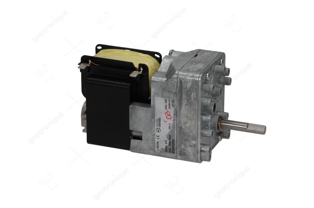 gearmotor 220v 50/60hz