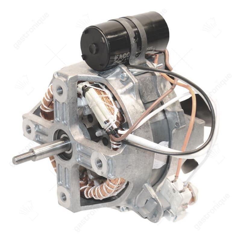 MOTOR 220V