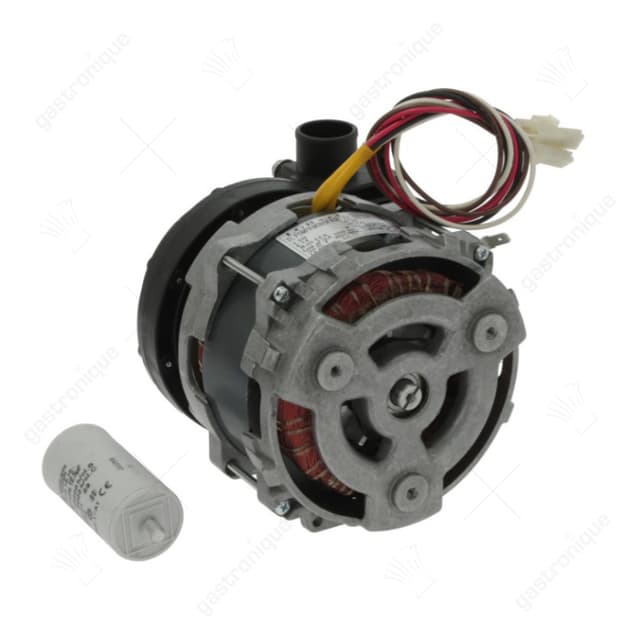 pomp ingang ø 30mm uitgang ø 30mm type ZF160SX 230V 50Hz fasen 1 0,41kW 0,55PS L 180mm - Thumbnail 2