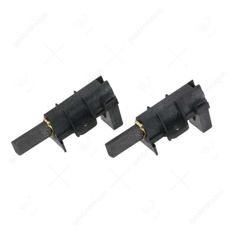 motor koolborstels schunk
