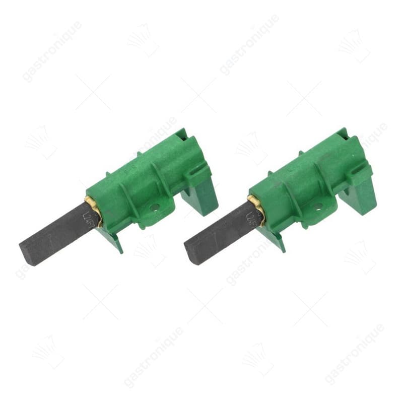 motor koolborstels schunk