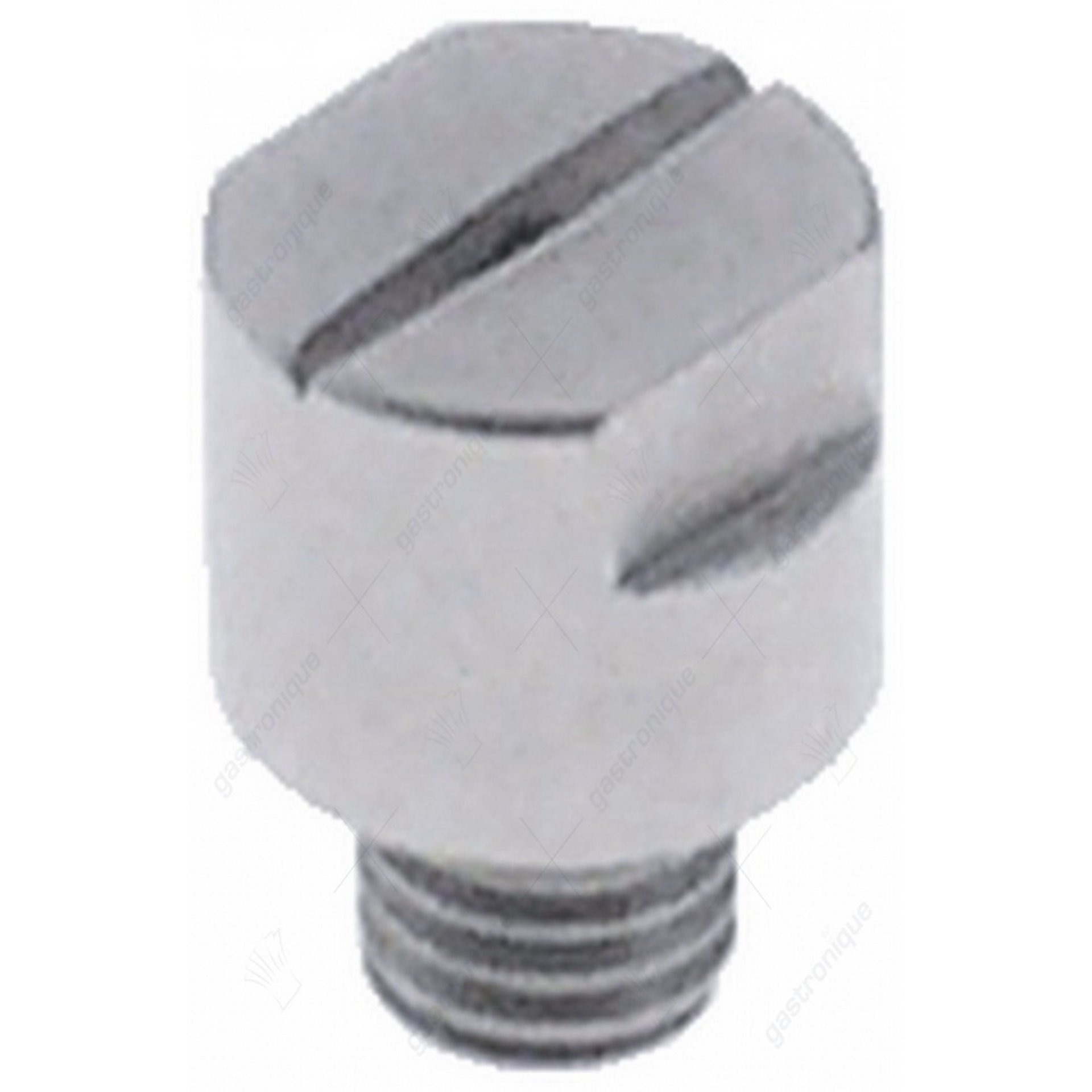 pulvérisateur en acier inoxydable m5x1 - image 1