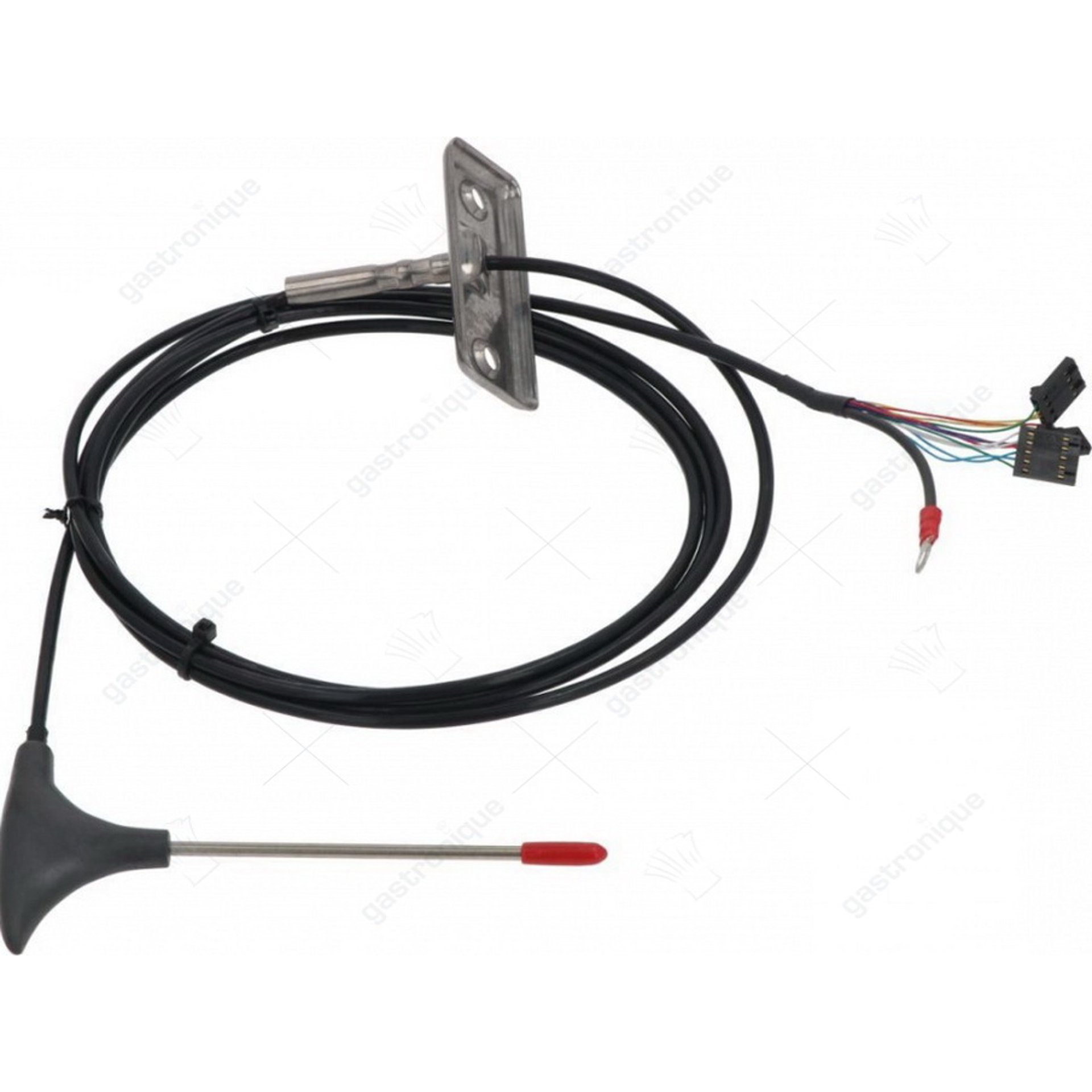kerntemperatuurvoeler tck - afbeelding 1