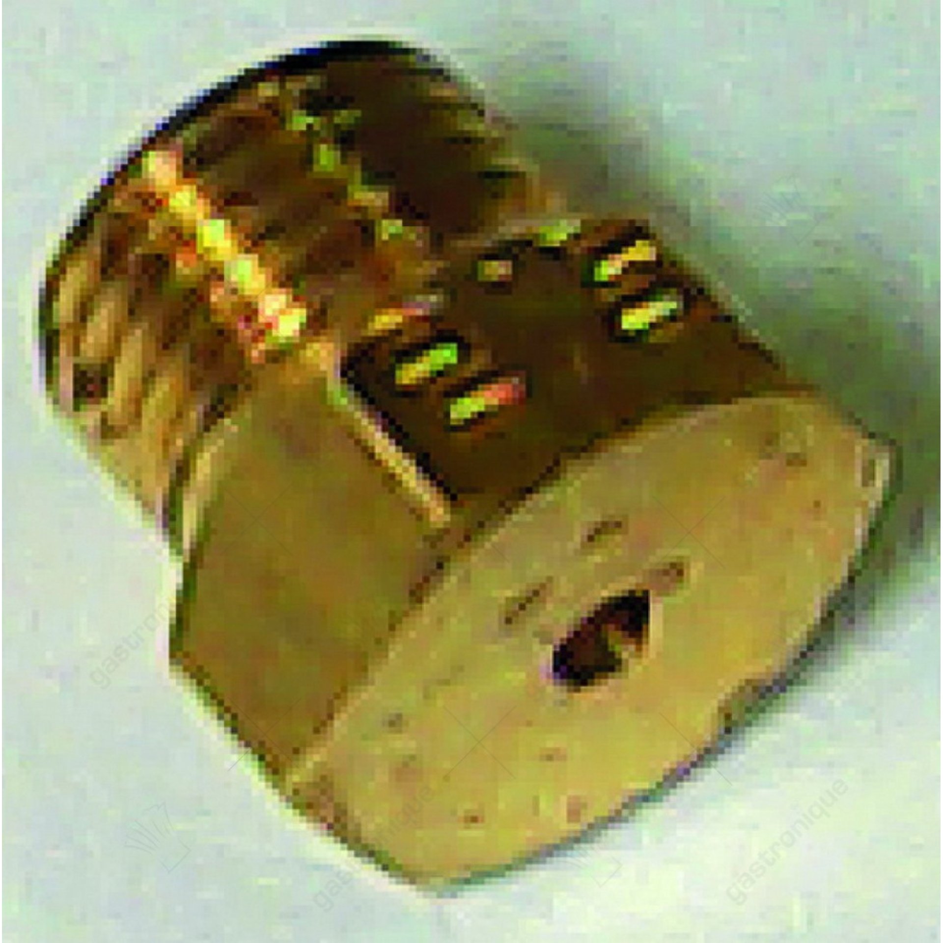 burner injector - image 1
