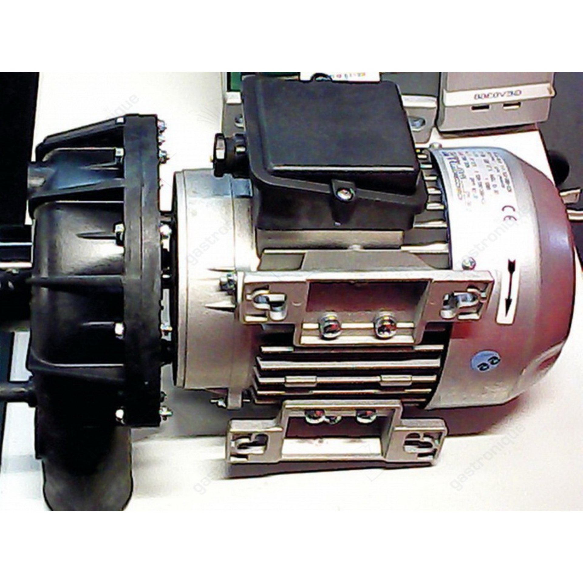 Pumpe 230-240V 50Hz - Bild 1
