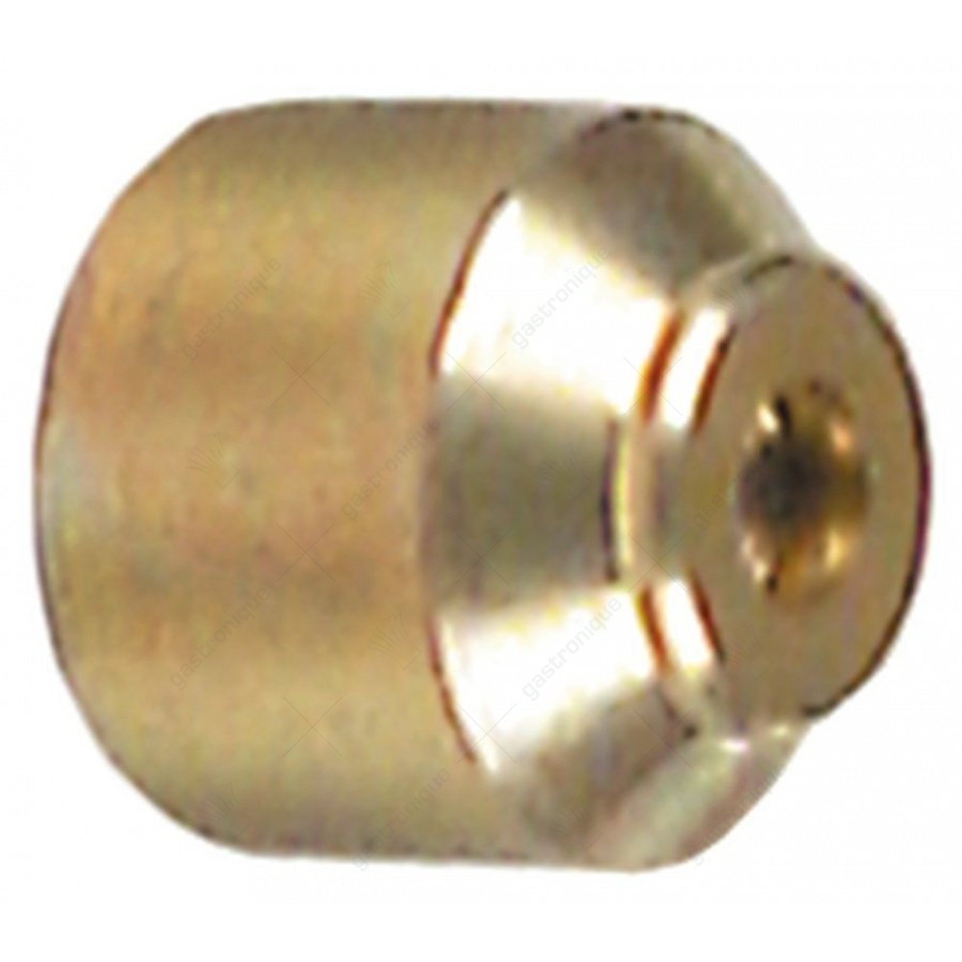 Injecteur pour Brûleur Pilote ø 0,25 mm - image 1