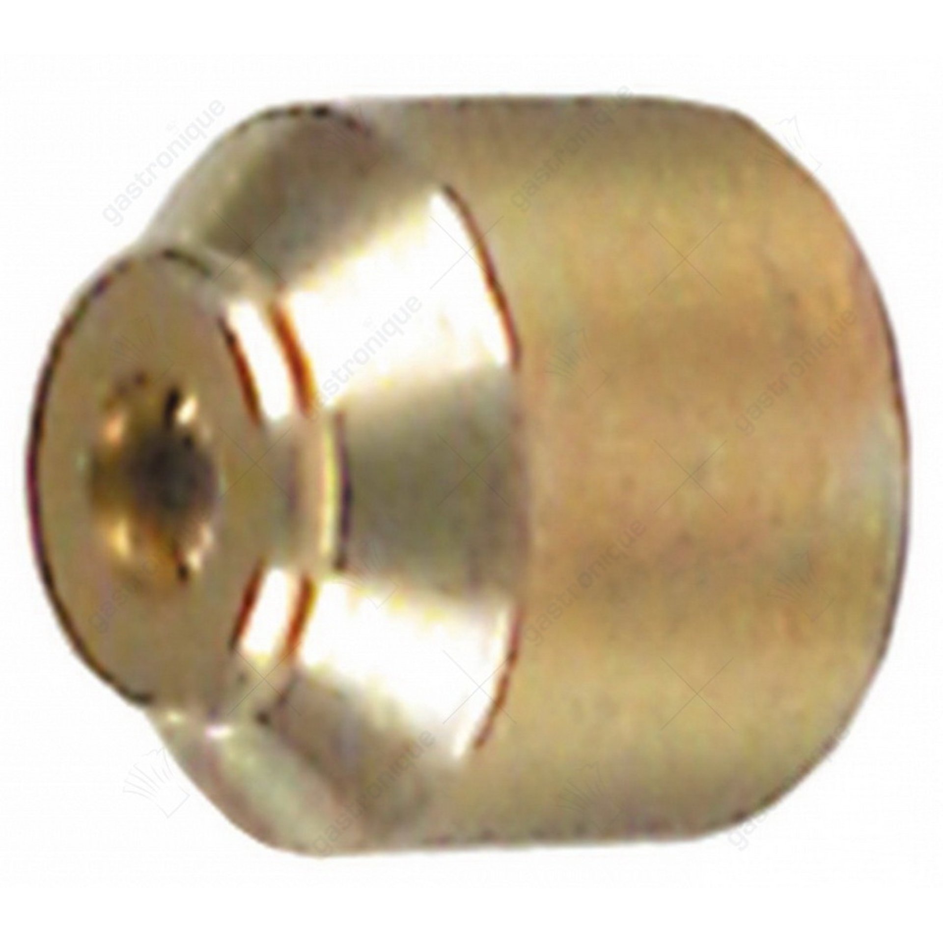 Einspritzpilotbrenner ø 0,51 mm - Bild 1