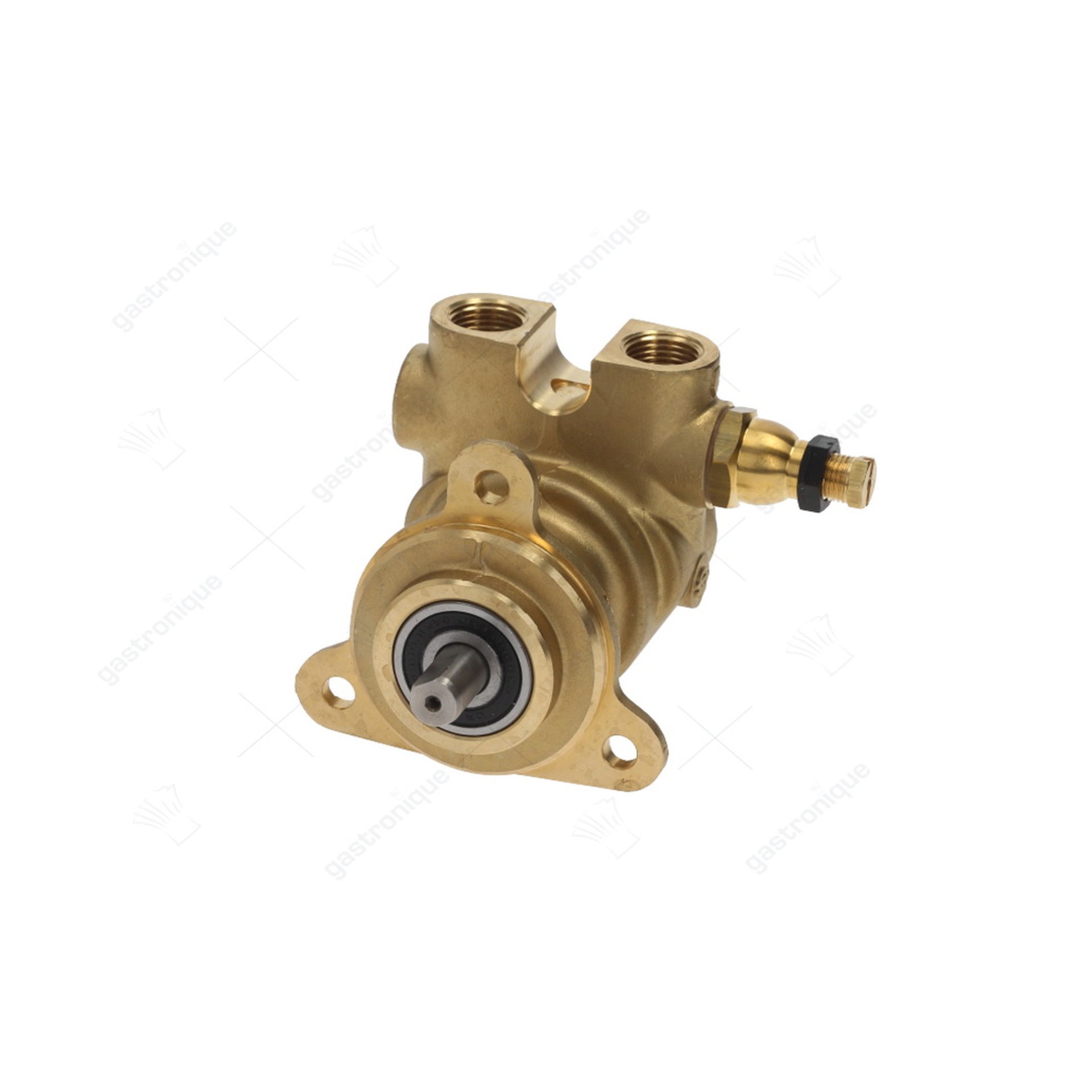 pomp rotoflow ø 3/8" npt - afbeelding 1