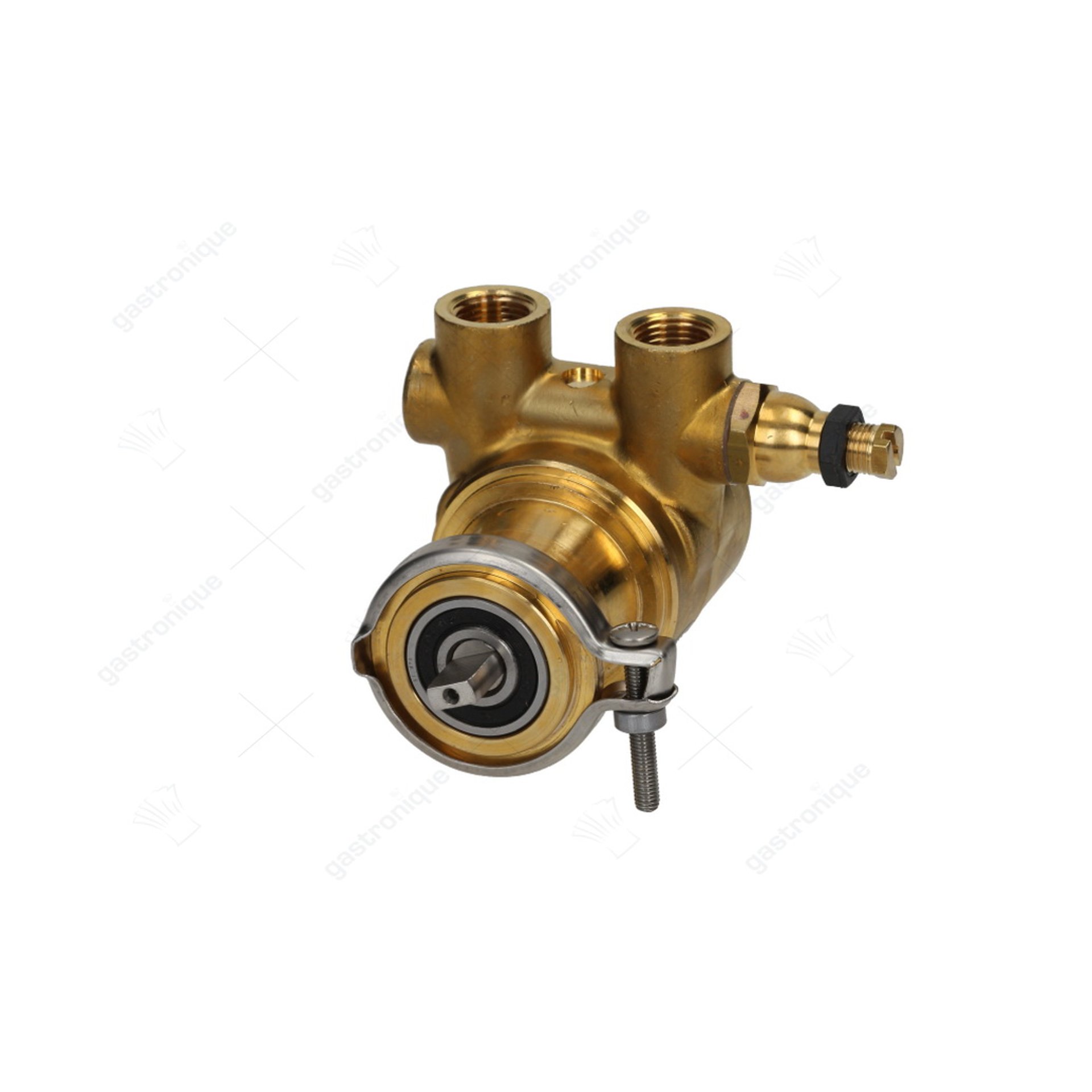 pompe rotoflow ø 3/8" npt - image 1