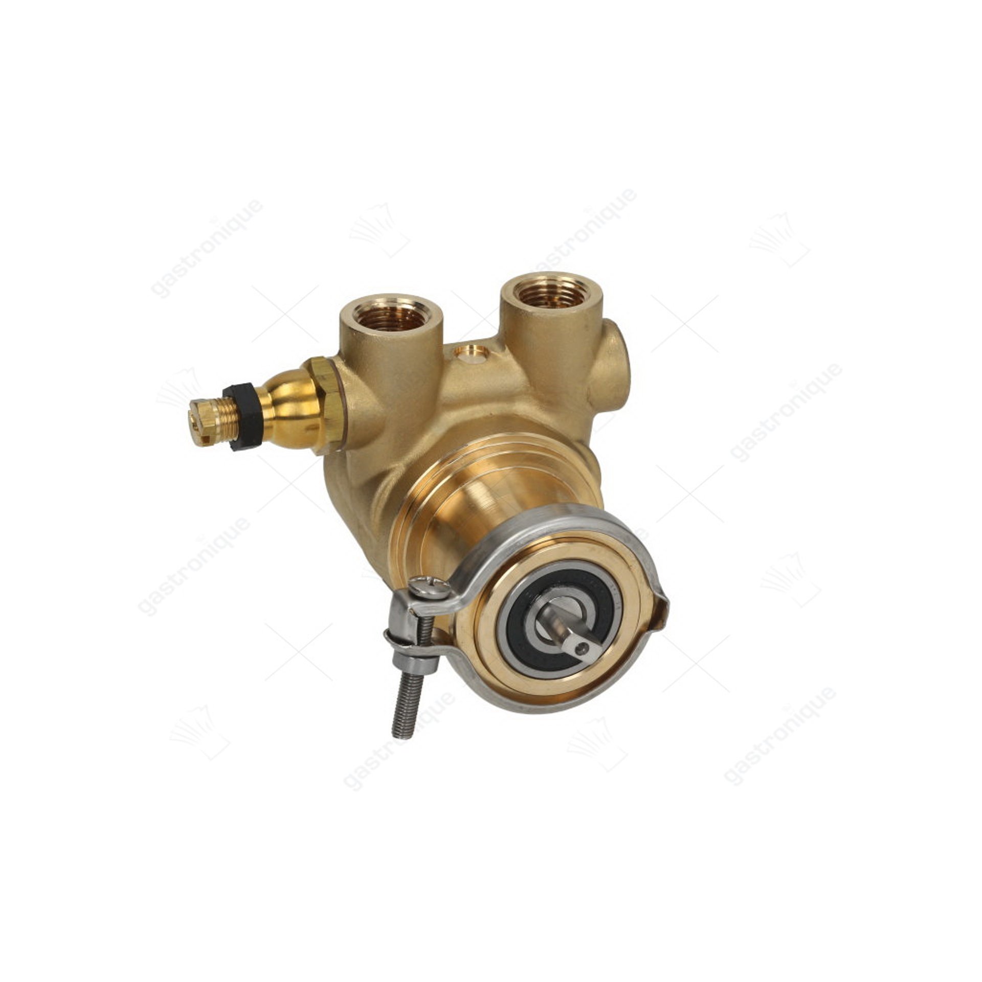 pomp rotoflow ø 3/8" npt - afbeelding 1