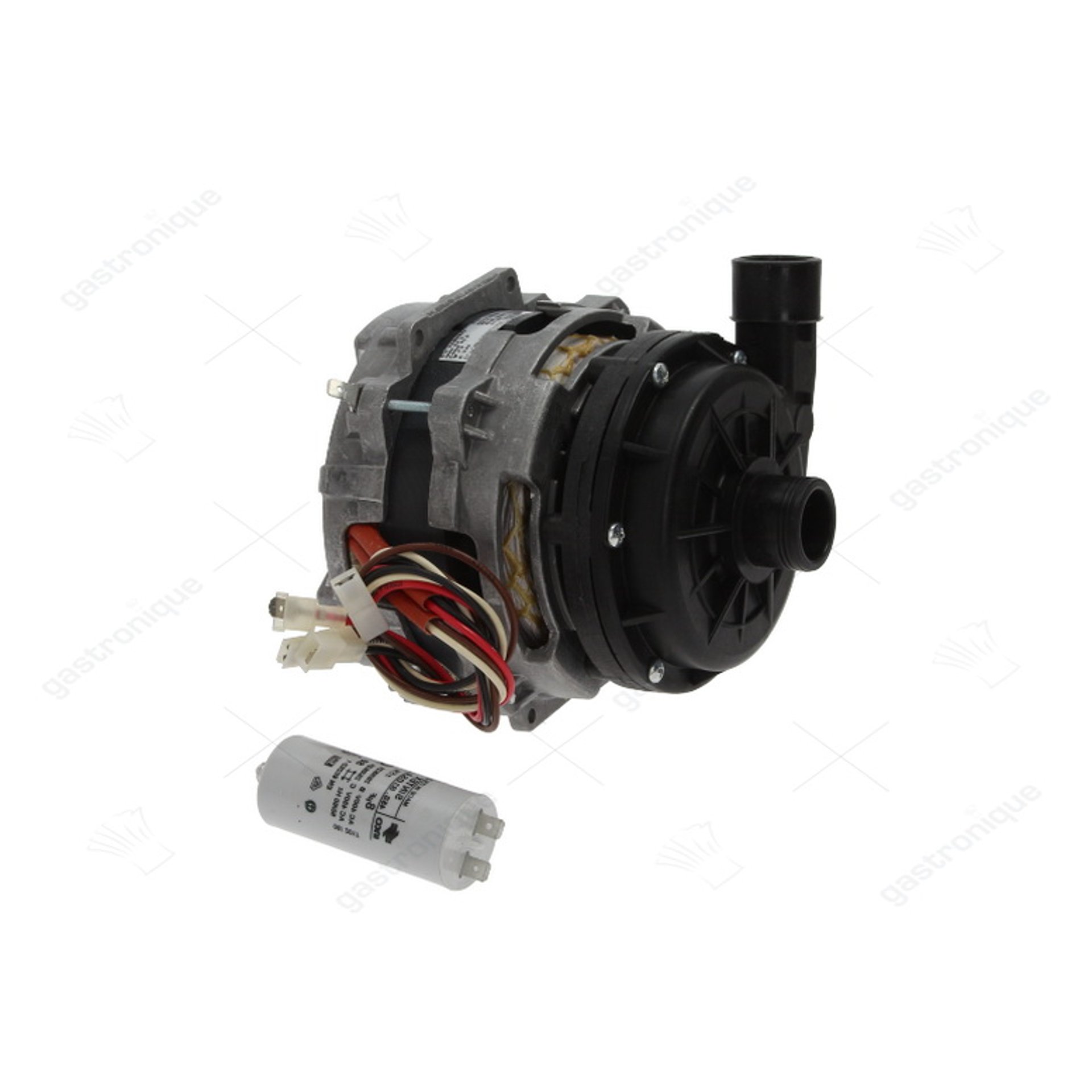 pumpe lgb zf110sx 0,33hp - Bild 1