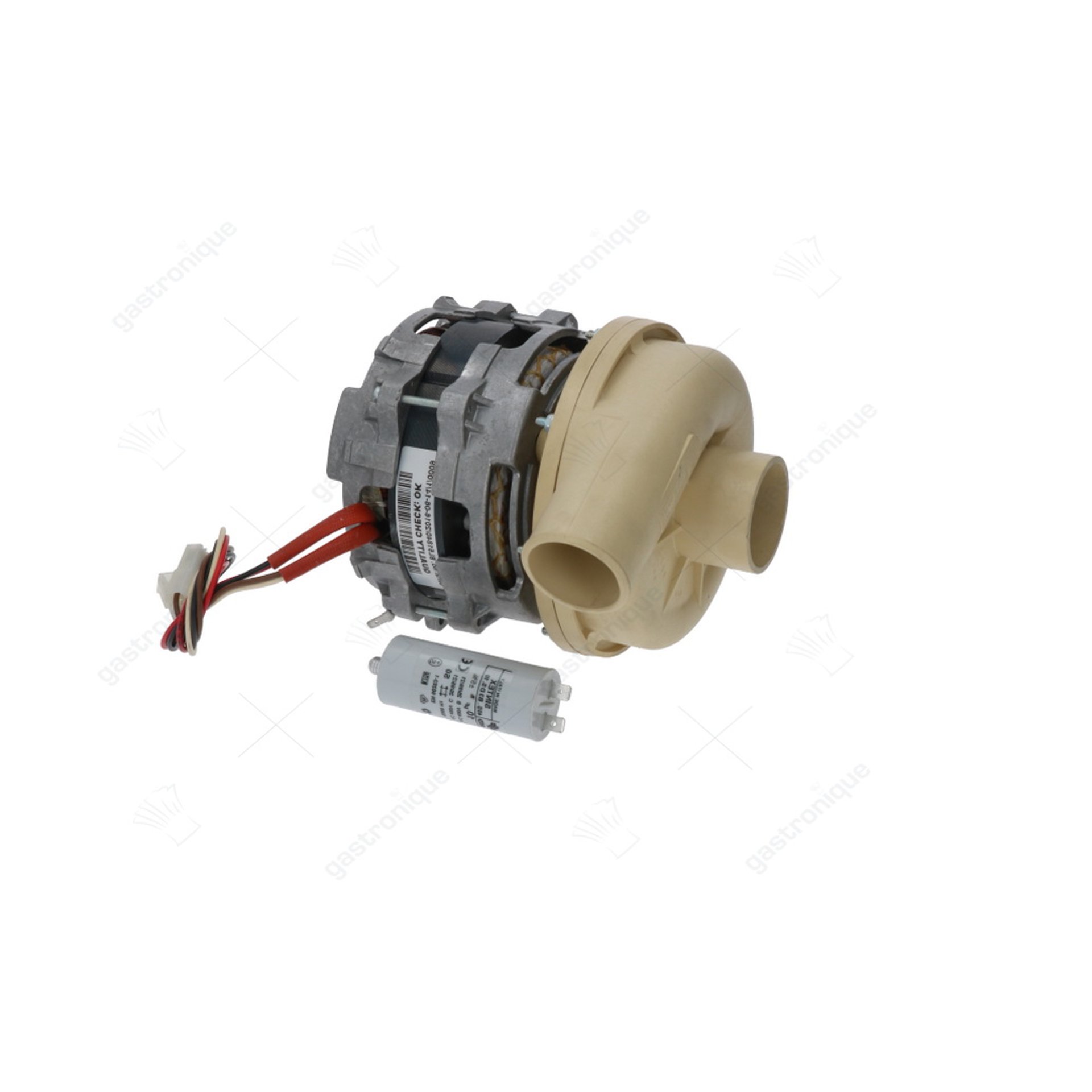 pumpe lgb 300wsx 0,40hp - Bild 1