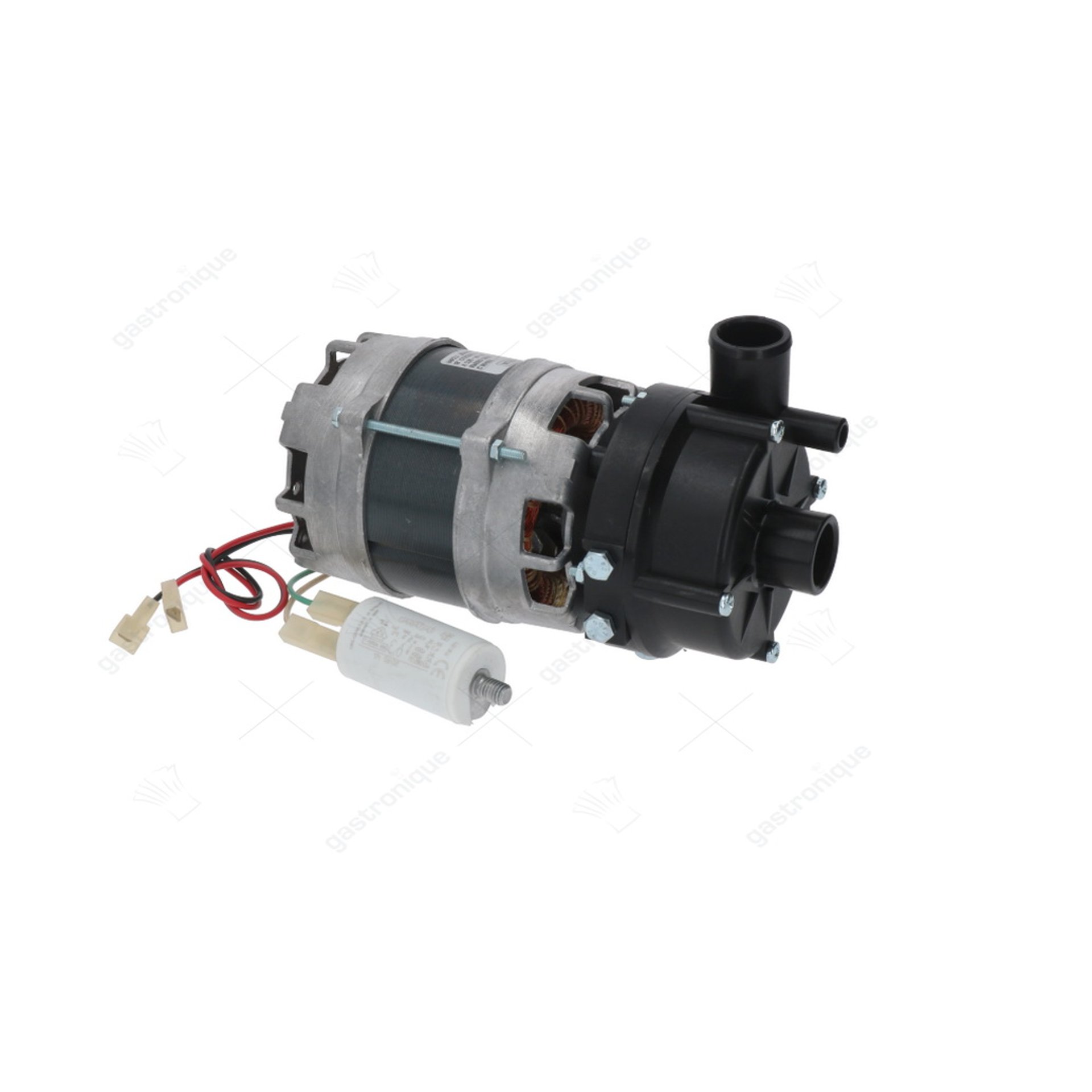 pumpe ap 22120sx 0,20hp - Bild 1