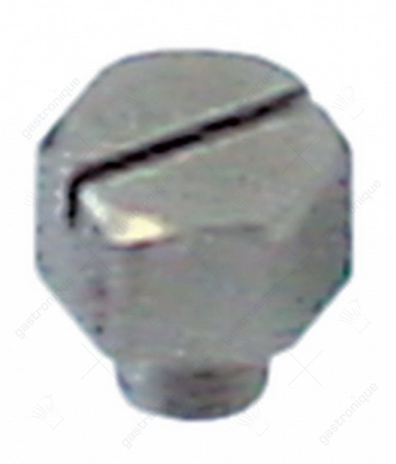 sproeier rvs naspoel - Image 1