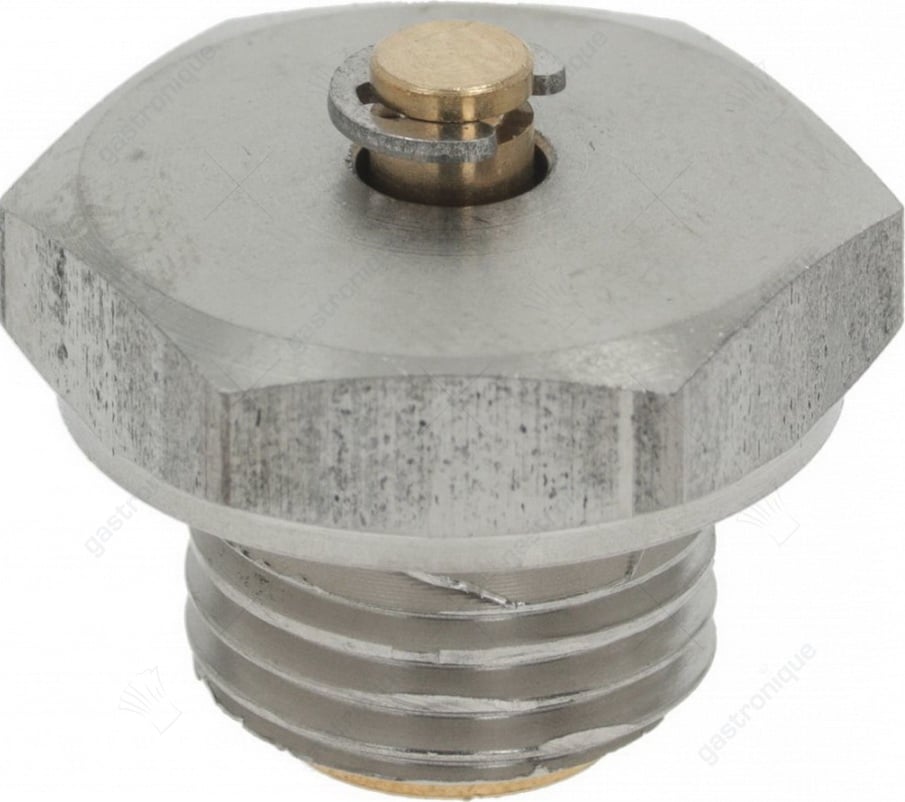 maximaalventiel ø 1/4"m - afbeelding 2
