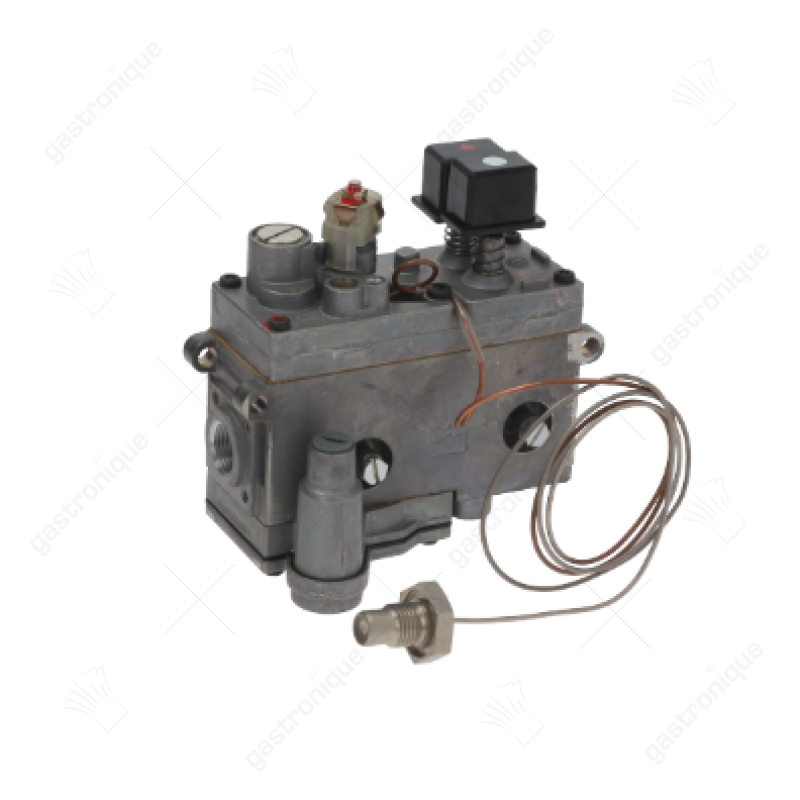 regelaar minisit bain-marie 20° tot 90°c - Image 1