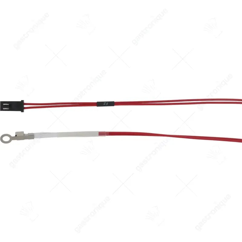 SONDE TERMINALE - image 1