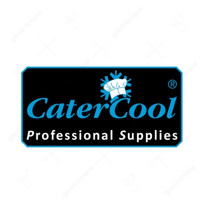 Thermostaat+ Printplaat - afbeelding 1