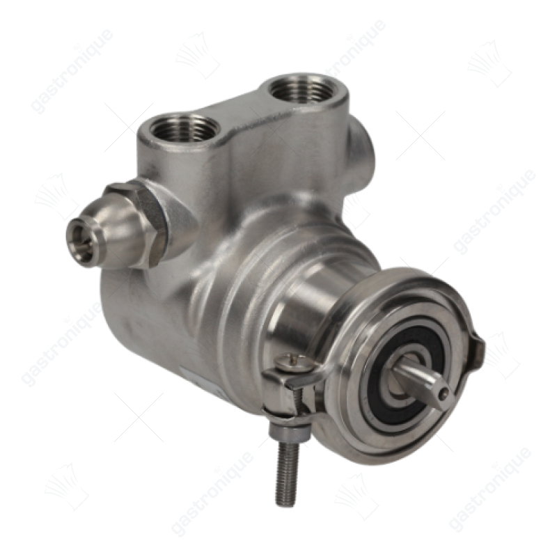 POMP ROTOFLOW PA311 300 L/h - afbeelding 1
