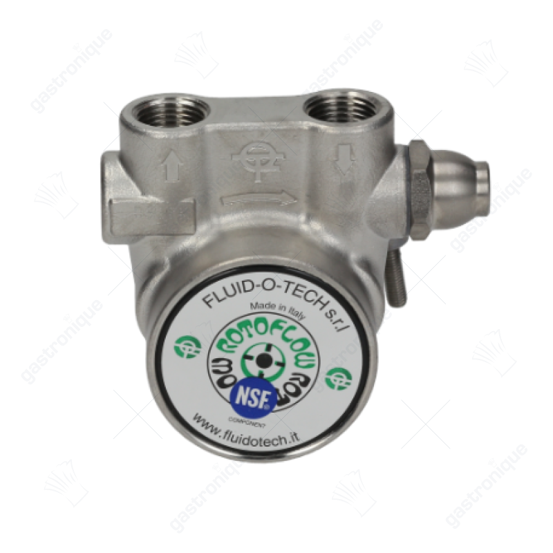 POMP ROTOFLOW PA311 300 L/h - afbeelding 2
