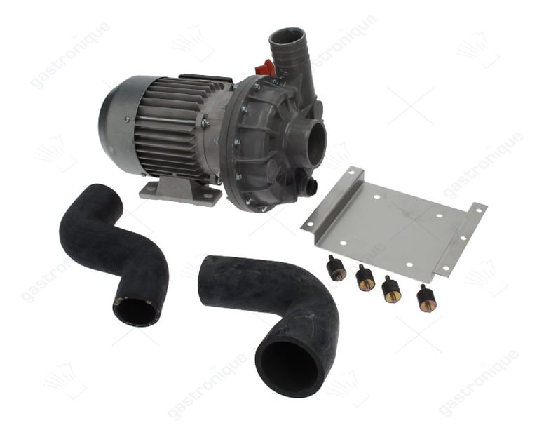 pumpe fir 1293sx 0,75hp - Bild 1