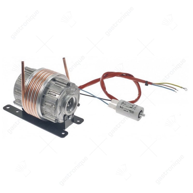 Motor Romatik XS - Image 1