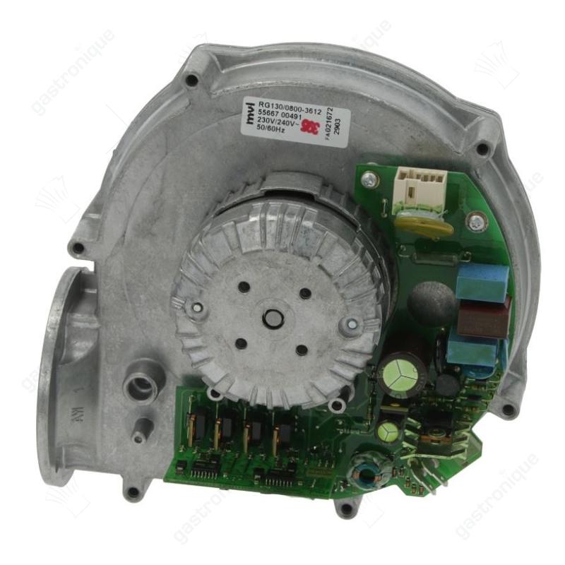 Ventilatormotor rg130/0800-3612 230/240v - Bild 1