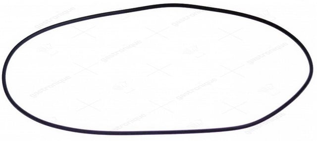 o-ring 02475 epdm - Thumbnail 1
