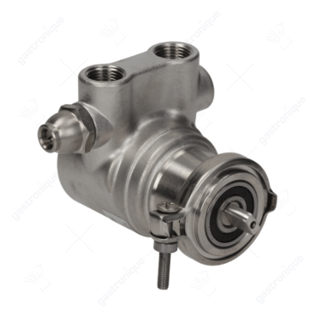 POMP ROTOFLOW PA311 300 L/h - Thumbnail 1