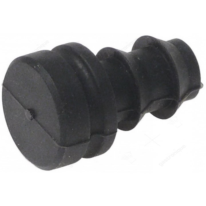 steam generator plug