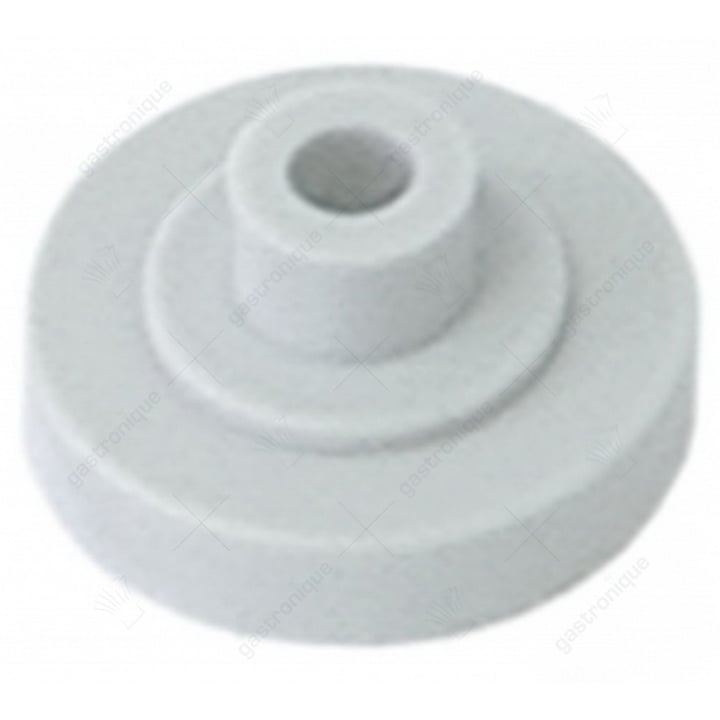filter holder for dosing pump