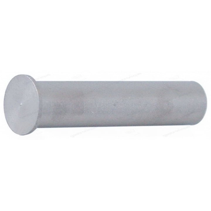 pin for door hinge ø 8x38 mm