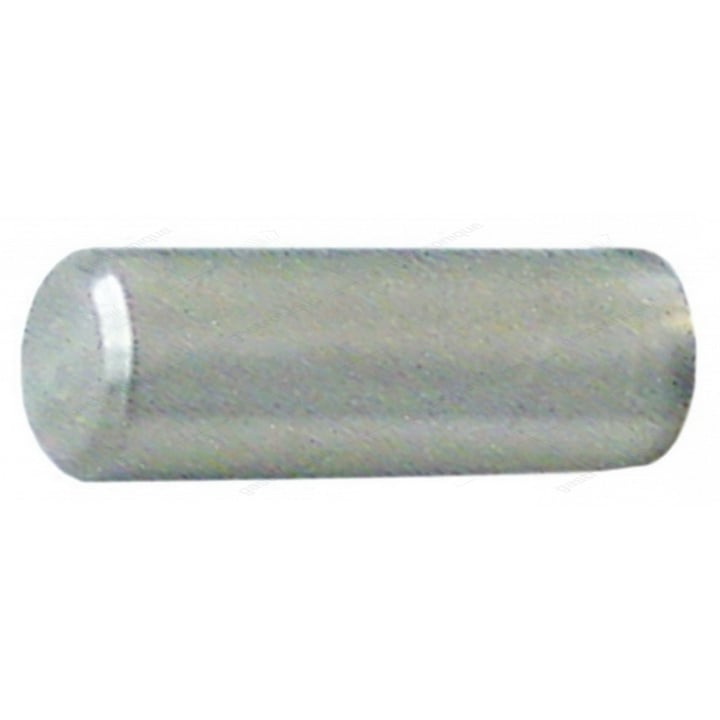 Scharnierstift  ø 8x19 mm