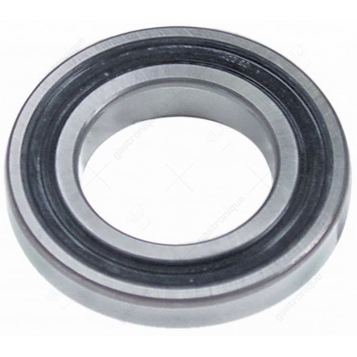 lager 6007 dducm nsk