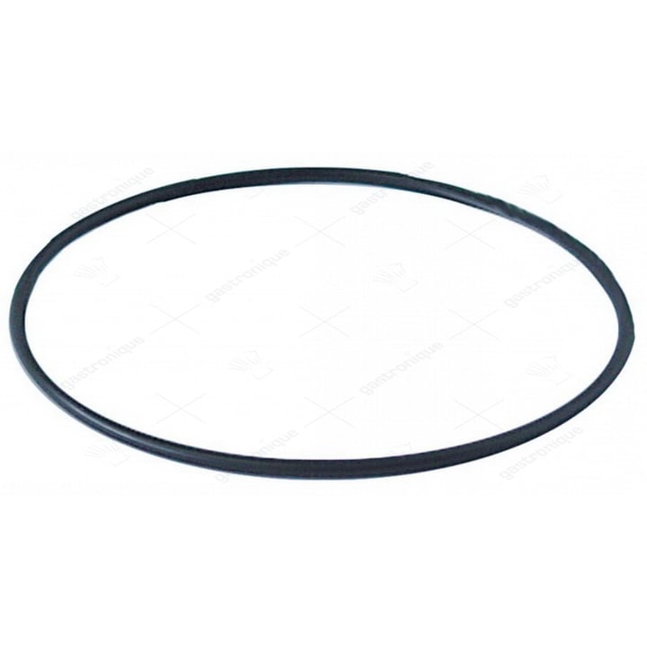 O-Ring der Filter 04475 EPDM