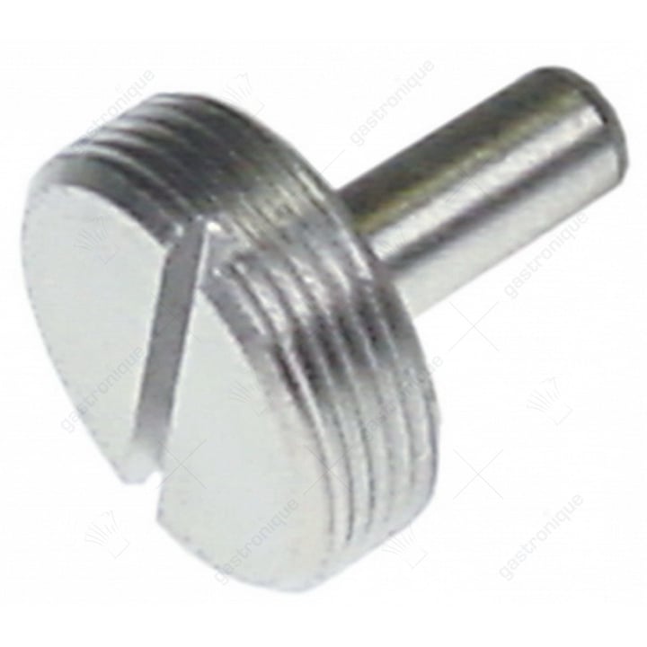 pressure screw with bearing