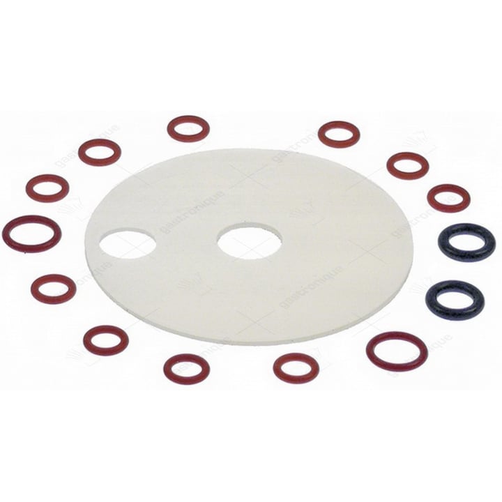 kit gaskets for wash arm