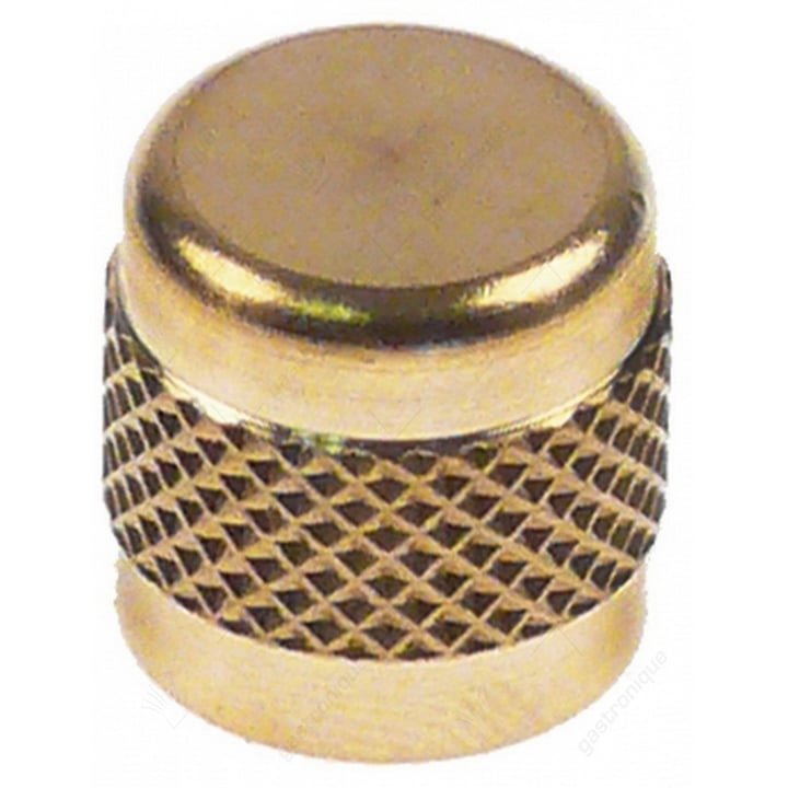 schroefkap CASTEL 8392/A grootte 1/4" SAE voor schraderventiel aansluiting 1/4" VPE 1