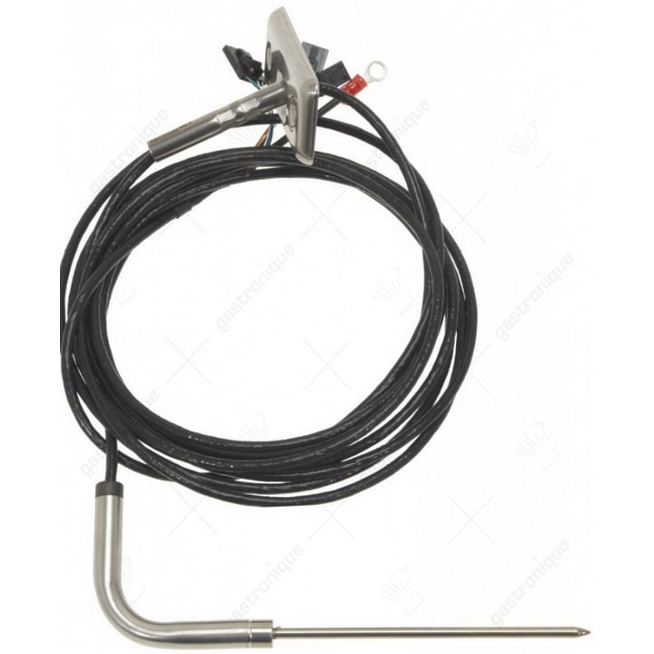 Kerntemperatursensor tck