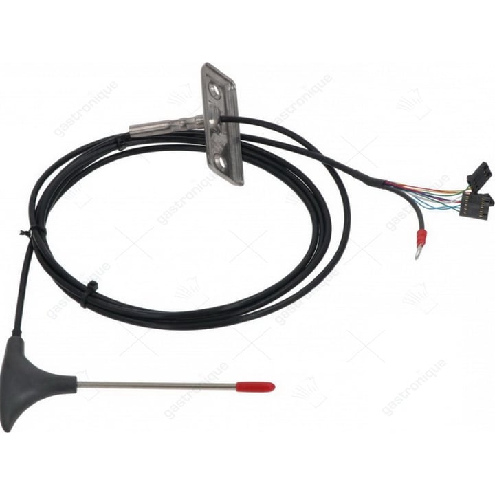 Kerntemperatursensor tck
