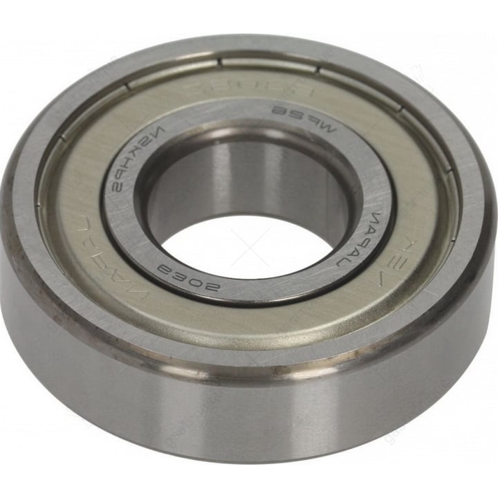 lager 6305 zz nsk